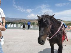 -新疆天山野生动物园