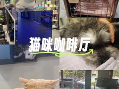 -伟伟宠物医院·CT影像中心·瑞派犬猫综合性门诊(汉口总院)