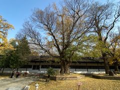 -苏州文庙(姑苏区)