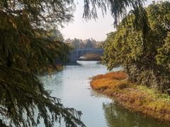 -上海海湾国家森林公园