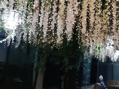 -阿鹏故事云南野生菌火锅(人民路店)