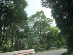 -长沙黑麋峰国家森林公园