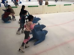 -TheRink大零溜冰场(IFS国金中心店)