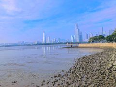 -深圳湾公园(南山区)