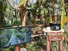 -呀路古热带植物园