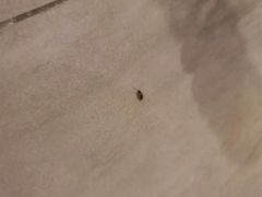 -栖游青年旅舍(华强北地铁站店)