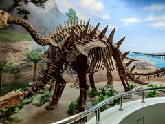 -延庆地质公园博物馆