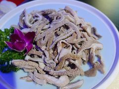 -额尔敦传统涮(公园西路店)