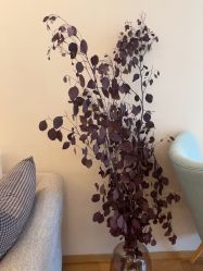 -ROYEA茹彦祛痘·问题肌肤修护中心