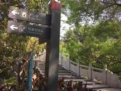 -小洲村