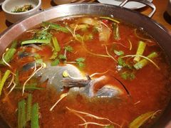 -新凯里酸汤鱼(飞山街店)