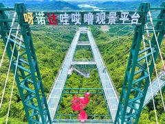 -呀诺达热带雨林