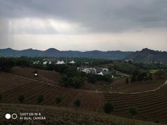 -帐篷客·溪龙茶谷度假酒店