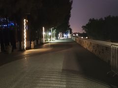 -宝安西湾红树林湿地公园