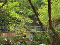 -百漈沟生态旅游景区