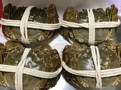 -阳澄湖大闸蟹·琼灵阁牌品牌连锁(吴中总店)