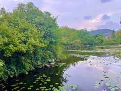 -白马涧龙池景区
