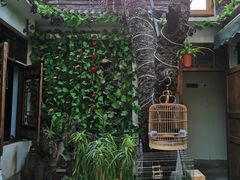 -丽江庭院·云南野生菌·海鲜火锅(鼓楼四合院店)