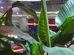 -遇西祠·海鲜烧烤(总店)