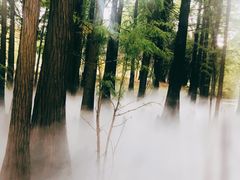 -东湖落雁景区