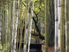 -广东温泉宾馆
