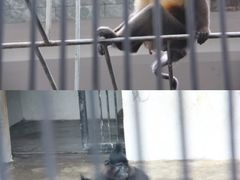 -广东茂名森林公园