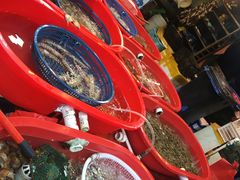 -芦潮港集贸市场