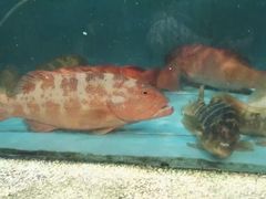-黄沙水产交易市场