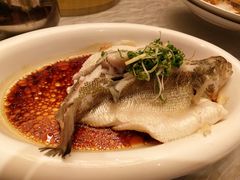 -椿记烧鹅(北门店)
