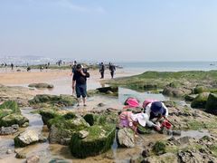 -巧克力渔家.小船海鲜胶东菜(万平口店)