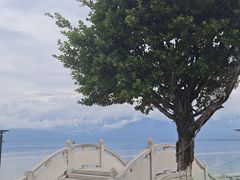 -西昌邛海湿地