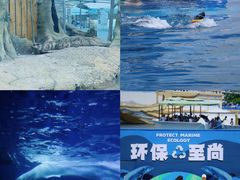-秦皇岛乐岛海洋王国