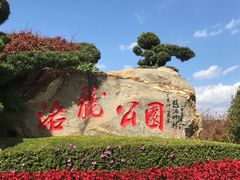 景点-洛龙公园