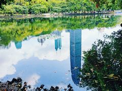 -荔枝公园(福田区)