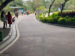 -金鸡山公园