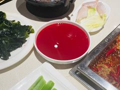 牛奶鸭血-红鼎坊·老成都火锅(新南门店)