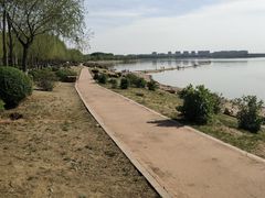-丁香湖公园