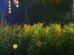 -康百万庄园