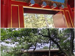 -赵州桥景区
