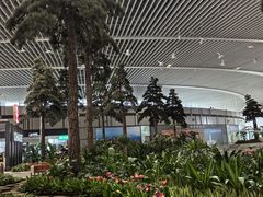-青岛胶东国际机场