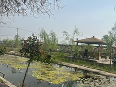 -同銮特种养殖场·龙虾垂钓