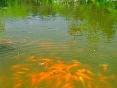 -西湖天地