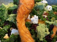 -Wagas沃歌斯(汇智店)