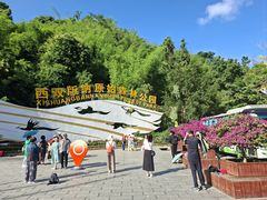 -西双版纳原始森林公园