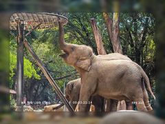 -广州长隆野生动物世界