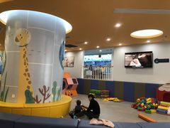 -戊辰亲子游泳俱乐部