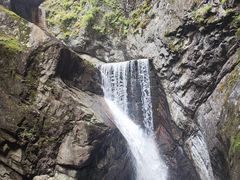 -牛背梁国家森林公园