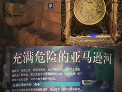 -上海海洋水族馆