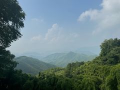 -莫干山风景区