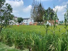 -南北湖风景区